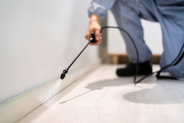 Licensed Termite Control service in Oakland, NJ - Nex Pest Control