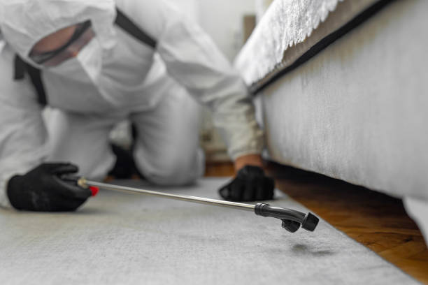 Professional Termite Control technician working in Oakland, NJ