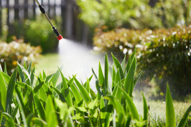 24/7 Emergency Termite Control experts in Oakland, NJ
