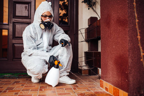 Reliable Termite Control contractor in Oakland, NJ by Nex Pest Control