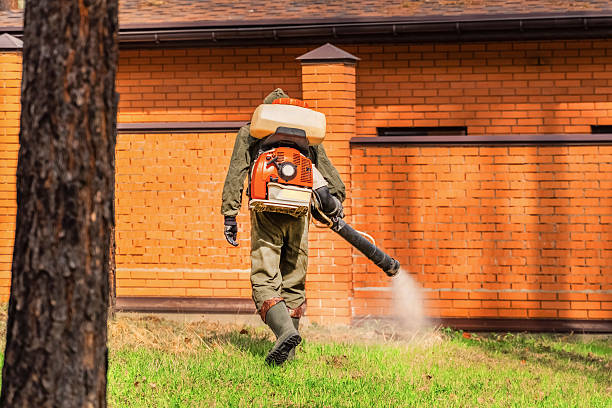 Trusted Ant Control service in Oakland, NJ - Nex Pest Control